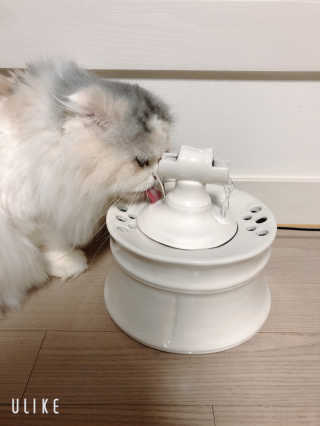 거니맘님이 올린 리뷰 사진 1