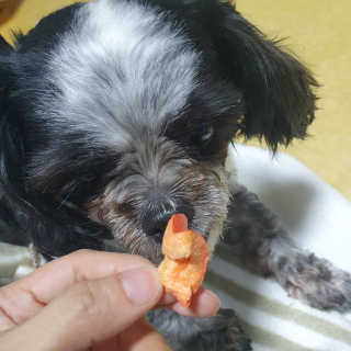가횽님이 올린 리뷰 사진 3
