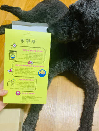루피맘님이 올린 리뷰 사진 4