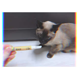 1점5리터님이 올린 리뷰 사진 2