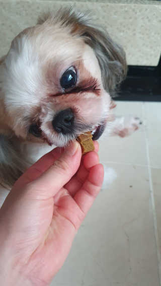 페티앙님이 올린 리뷰 사진 2