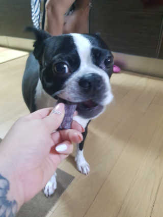 슈기슈기님이 올린 리뷰 사진 2