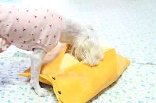 youngran님이 올린 리뷰 사진 3