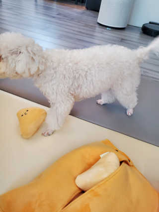 해워니님이 올린 리뷰 사진 2