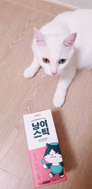대박이님이 올린 리뷰 사진 2