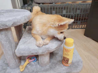 좋아님이 올린 리뷰 사진 2