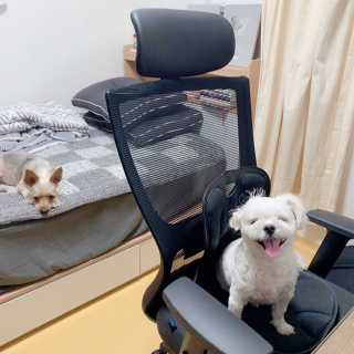 jin님이 올린 리뷰 사진 1