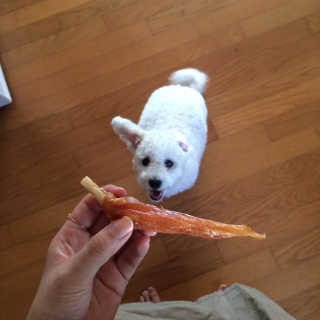 쏘피아님이 올린 리뷰 사진 2