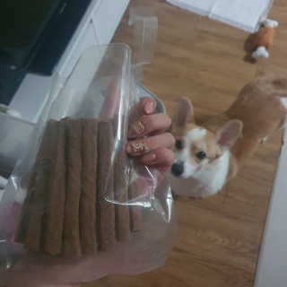 My Pet Care 천연단백질 치아건강에 개좋아 — 5점을 준 리뷰어가 2020년 11월 올린 사용 사진