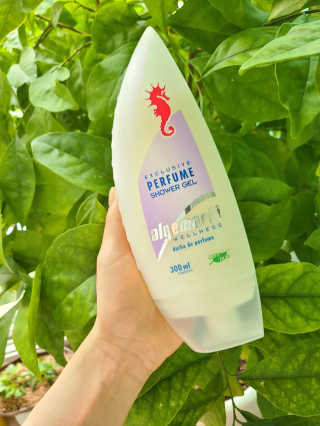 삼숑이맘님이 올린 리뷰 사진 1