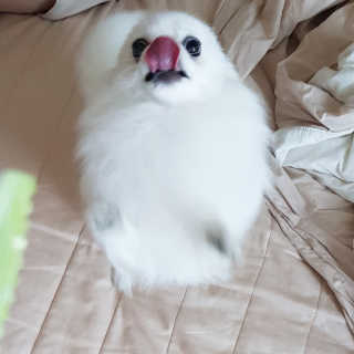 비니비니님이 올린 리뷰 사진 3