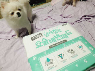 윤히포님이 올린 리뷰 사진 4