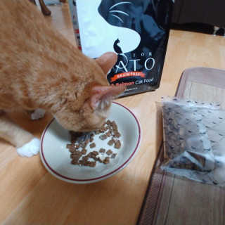 히욤욤님이 올린 리뷰 사진 2
