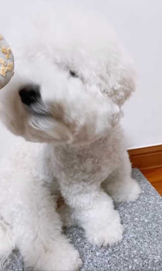 SEOHYUNKIM님이 올린 리뷰 사진 2
