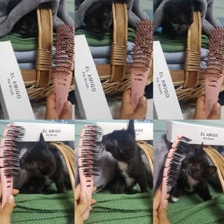 또히츄님이 올린 리뷰 사진 2