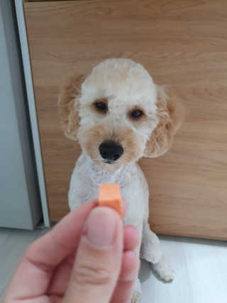 xkdidhqk님이 올린 리뷰 사진 4