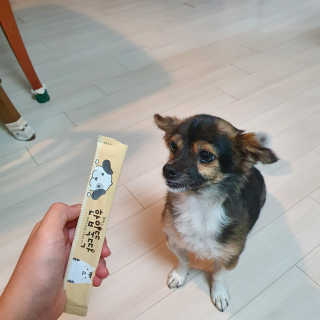 꽃수니어니님이 올린 리뷰 사진 3