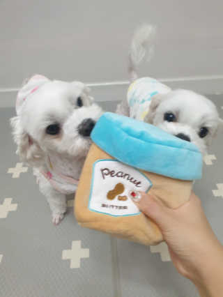 뽀야님이 올린 리뷰 사진 2