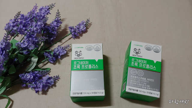 초록 프로폴리스 리뷰 사진