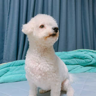 이이이잉ㅇ님이 올린 리뷰 사진 2