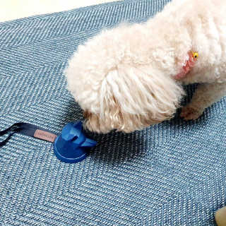 미니코코님이 올린 리뷰 사진 3