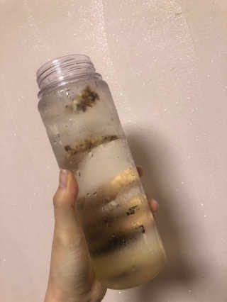 또용님이 올린 리뷰 사진 2