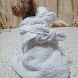솜희님이 올린 리뷰 사진 3