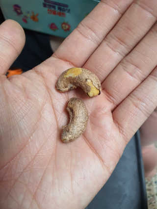 감자와고구마님이 올린 리뷰 사진 2