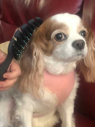 Drgnfly님이 올린 리뷰 사진 1