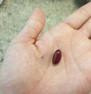 호선생님이 올린 리뷰 사진 4