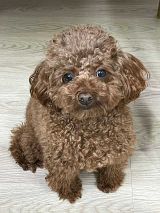 뽐님이 올린 리뷰 사진 4