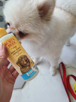 유화님이 올린 리뷰 사진 1