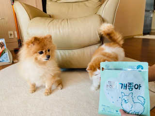 My Pet Care 천연단백질 눈건강에 개좋아 — 5점을 준 리뷰어가 2020년 12월 올린 사용 사진