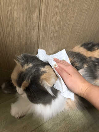 softbom님이 올린 리뷰 사진 4