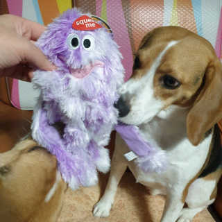 beaglelove님이 올린 리뷰 사진 1