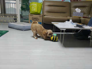 kiki._.yeji님이 올린 리뷰 사진 2