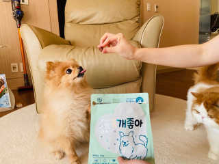 My Pet Care 천연단백질 눈건강에 개좋아 — 5점을 준 리뷰어가 2020년 12월 올린 사용 사진