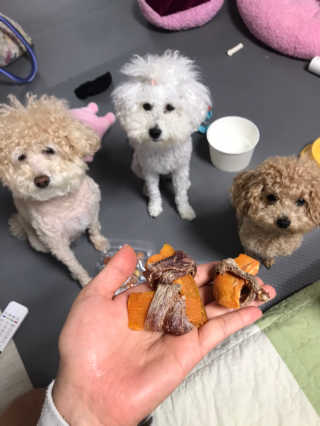 해피팡팡 고구마닭말이+고구마오리말이 [고구마간식2종] — 5점을 준 리뷰어가 2020년 4월 올린 사용 사진