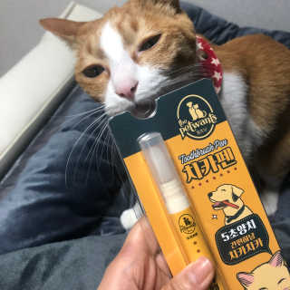 Honeyshop님이 올린 리뷰 사진 2