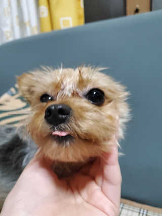조이님이 올린 리뷰 사진 2