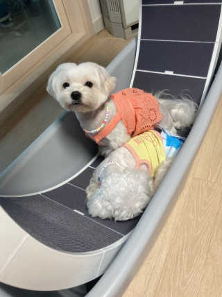 꽃양뿌니님이 올린 리뷰 사진 3