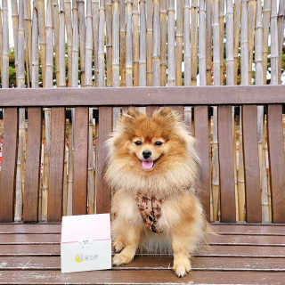 은선이짱님이 올린 리뷰 사진 1