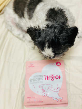 My Pet Care 천연단백질 관절건강에 개좋아 — 5점을 준 리뷰어가 2020년 11월 올린 사용 사진