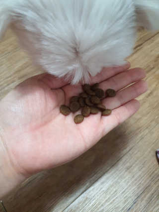 뽀오오옹님이 올린 리뷰 사진 3