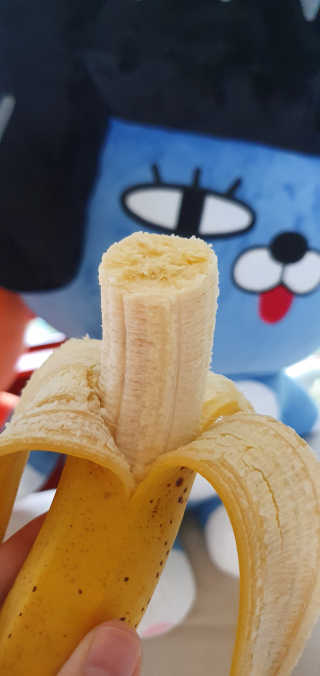 [스미후루] 감숙왕 바나나 2팩 2.6kg 이벤트 — 5점을 준 리뷰어가 2020년 9월 올린 사용 사진