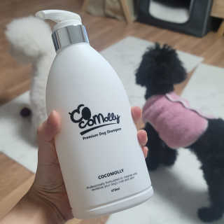 예민한 피부를 위한 코코몰리 All in one 자연유래 샴푸 — 5점을 준 리뷰어가 2020년 11월 올린 사용 사진