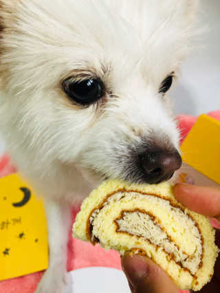 Lily님이 올린 리뷰 사진 2