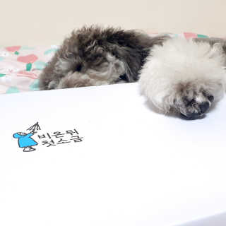 바니님이 올린 리뷰 사진 4