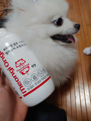 이누닷님이 올린 리뷰 사진 1