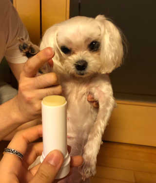 빼곰님이 올린 리뷰 사진 2
